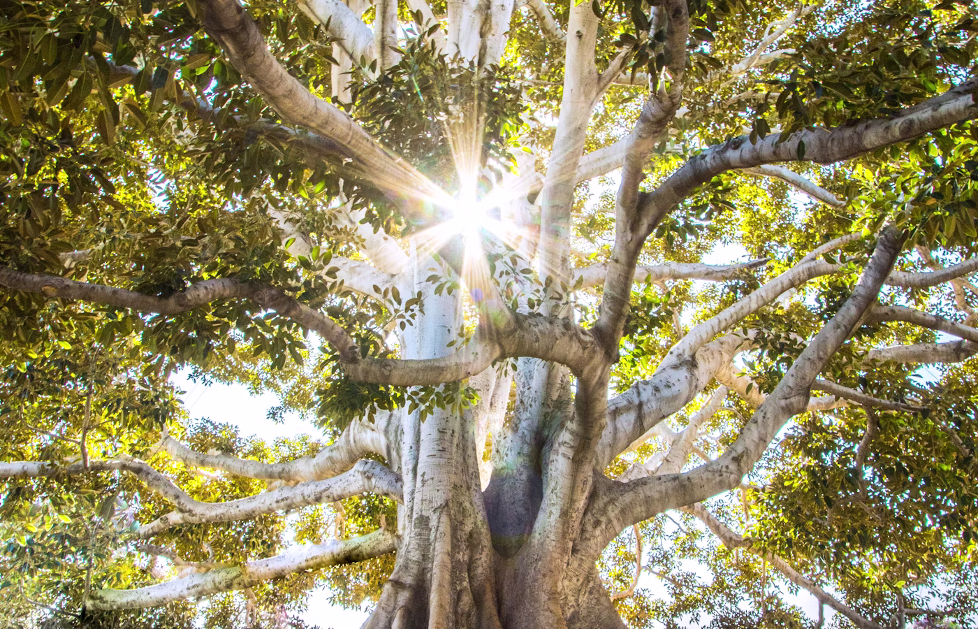 Практики благодарности для предпринимателя